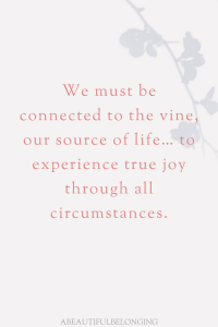 the joy of the Lord, he is where the joy is, John 15:5, I am the vine, you are the branches